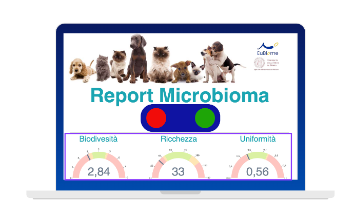 Report Microbioma Pet